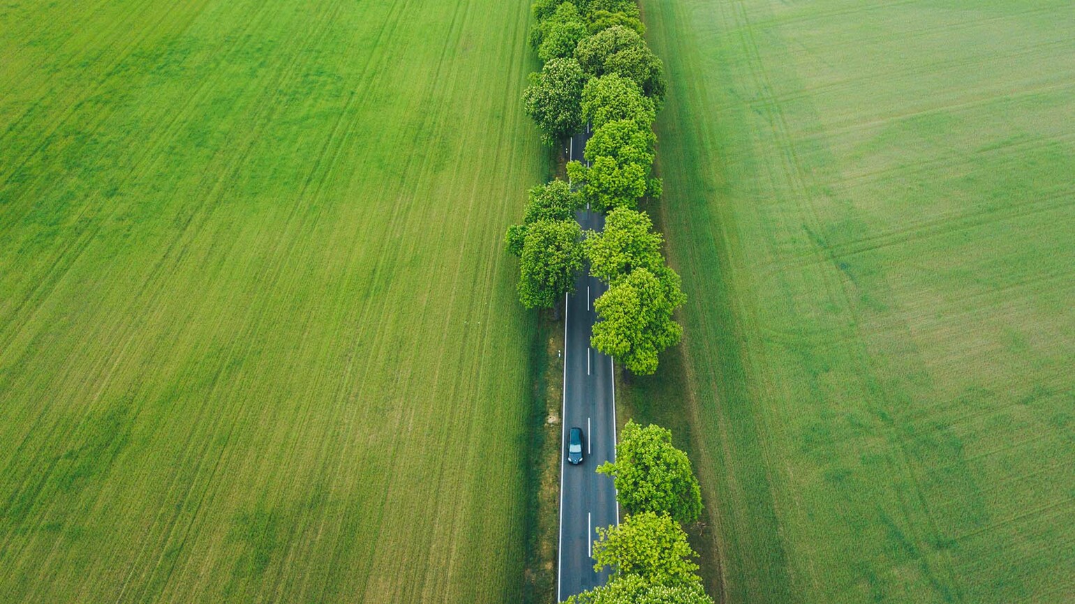 Höstväg 